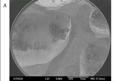 SEM Photomicrographs Of The Titanium Disc Surface After TPP3 At A X25