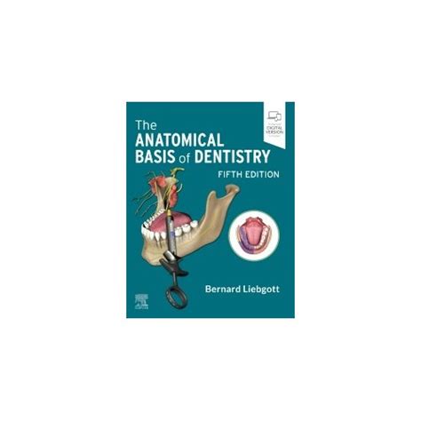 The Anatomical Basis Of Dentistry 5th Edition Nobel Kitabevi