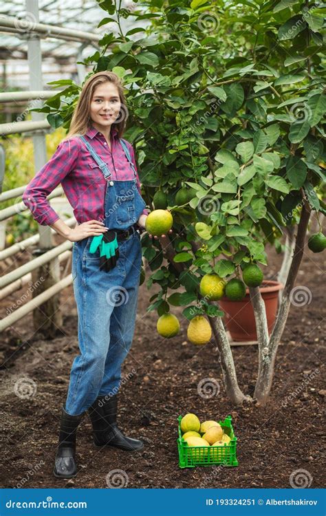 Beautiful Fair Haired Girl Posing Outdoors With A Lemon Tree Stock Image Image Of Activity