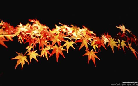 Autumn Tints Beautiful Fall Leaves Widescreen Wallpapers Desktop