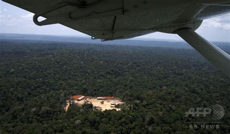 上空から見たアマゾンの違法伐採現場 写真17枚 国際ニュース：afpbb News