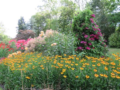 Pashley Manor Gardens Herbaceous Borders Early July By