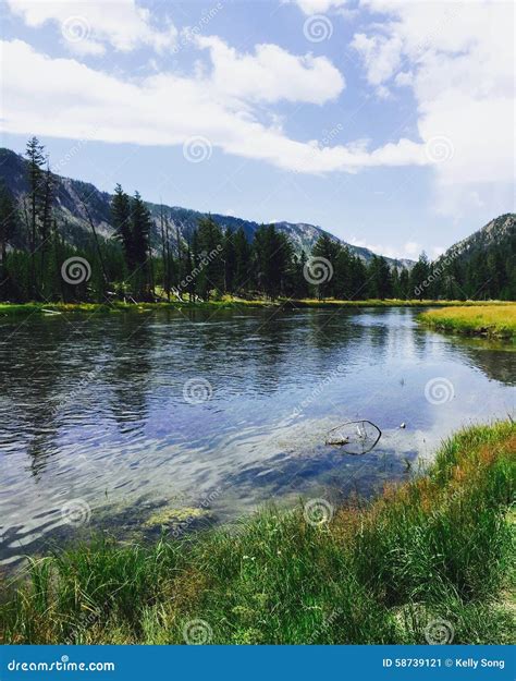 Lake Of Mirrors Stock Image Image Of Lake Yellowstone 58739121