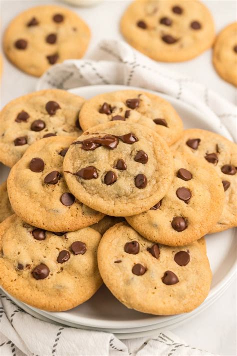 One Bowl Chocolate Chip Cookies Recipe Girl®
