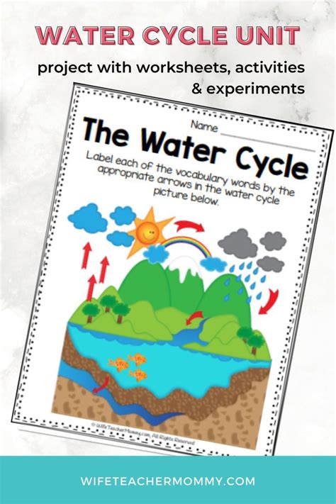 Ready For Your Students To Truly Understand The Water Cycle This Unit