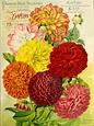 john henry floral design books - vietnamwarmemorialpainting