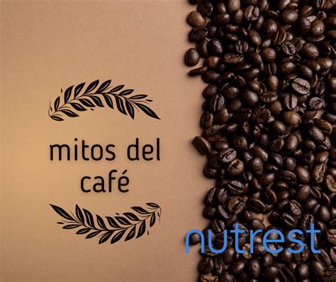 Mitos Del Café Consejos Para Aprovechar Sus Propiedades