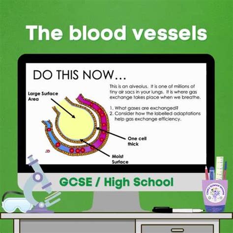 The Blood Vessels Gcse By Cmgs Science Lessons Tpt