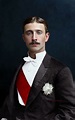 Prince Louis Napoleon Bonaparte, 1878 | Vintage portraits, Portrait ...