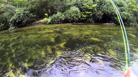 Dowr kammel, meaning crooked river) is a river in cornwall, england, united kingdom. Fly Fishing - Chattooga River - YouTube