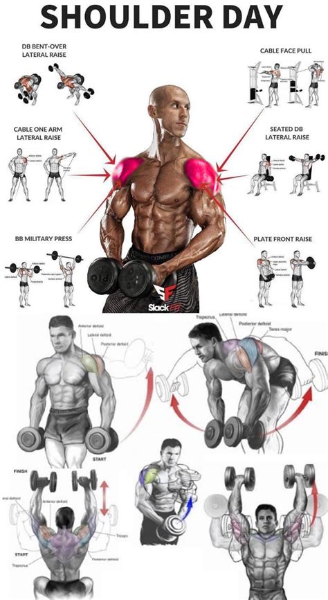 The Ultimate Shoulder Workouts Anatomy Exercice Muscu