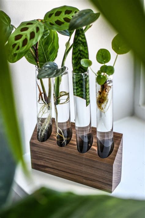 17 Unique Ts For The Plant Lover In Your Life Indoor Water Garden