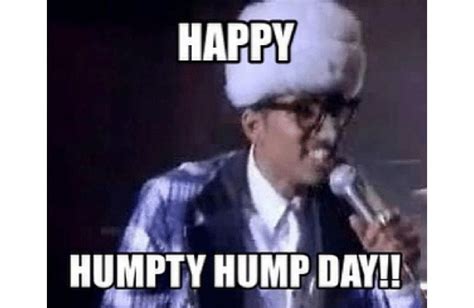 33 Happy Hump Day Meme Wishes And Images Preet Kamal