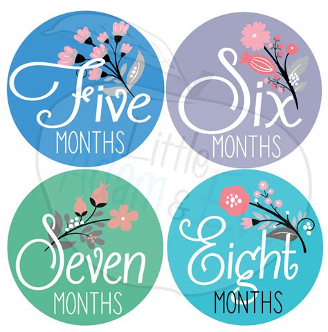 Baby Monthly Milestone Stickers- 12 Stickers, Floral Monthly Baby Stickers, Milestone Stickers ...