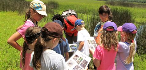 Time Spent Near Green Places Can Improve Childrens Cognitive Development