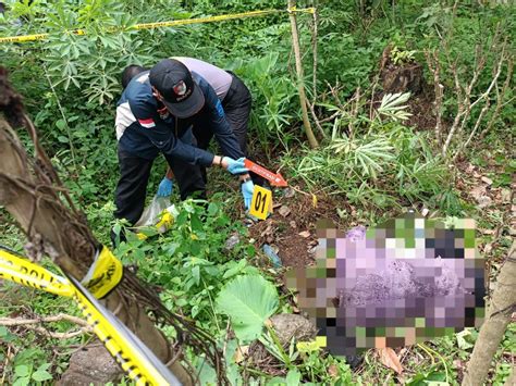 Wanita Tua Ditemukan Tewas Di Padangsidimpuan Korban Pembunuhan Opsi Id Situs Berita Pilihan
