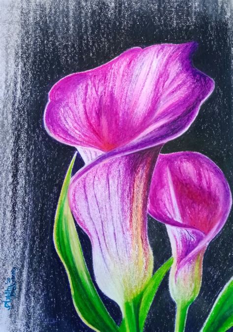 Purple Flowers Oil Pastel Techniques Oil Pastel Drawings Easy