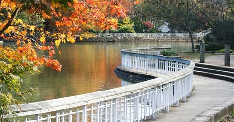 Car Rentals in Raleigh from $20/day - Search for Rental Cars on KAYAK