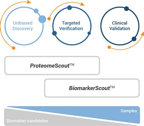 Biomarker Discovery Proteomics For Translational Biomarker Research