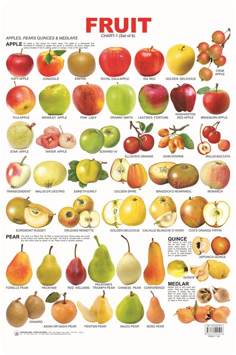 14 Fruit Chart 01 1999×2999 Education Pinterest 유치원 활동 과일