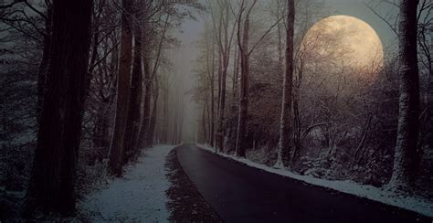 Canva Night Road In Forest With Full Moon In Winter