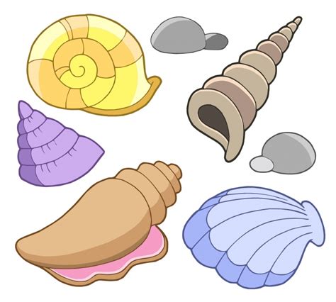 Free Shells Clipart Download Free Shells Clipart Png Images Free