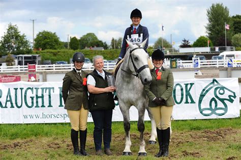 Increase In Irish Draughts At Airc Riding Clubs Festival Association