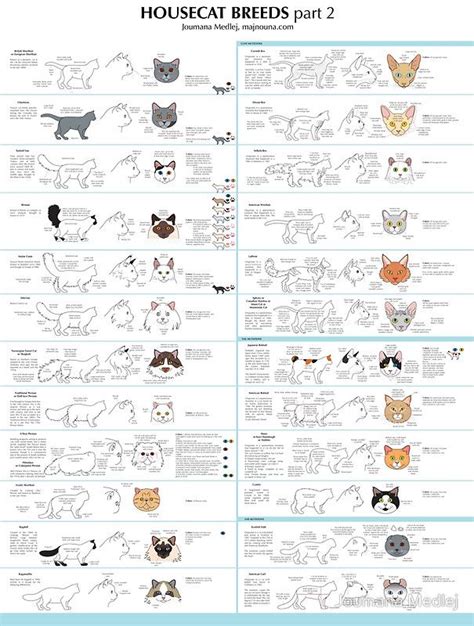 Fel D1 Levels By Cat Breed Chart