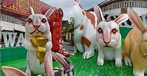 比中國妖兔還驚人！印尼「進擊的巨兔」猙獰臉看了膽顫心驚 網：會惡夢 | 國際 | 三立新聞網 SETN.COM