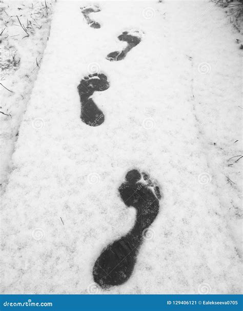 Bare Feet On The Snowy Surface Stock Image Image Of Extreme