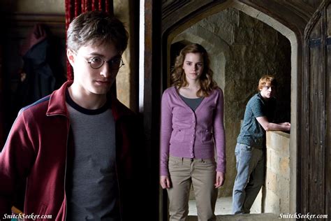 Trio In Hbp Harry Ron And Hermione Photo 7390800 Fanpop