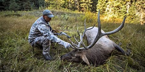 Top 5 Elk Hunting Tips Elk101 Com Eat Sleep HUNT ELK