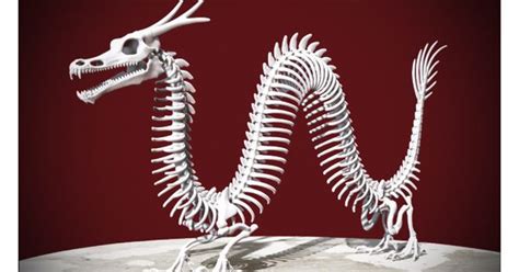 Chinese Dragon Skeleton By Brianrichardson Halloween Ideas