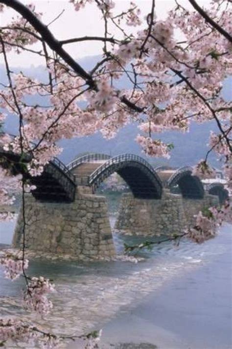 Kintai Bridge Iwakuni Yamaguchi Japan Pinlovely