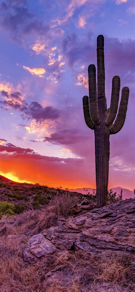 Phoenix Arizona Iphone Wallpapers Free Download
