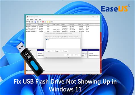 Full Guide To Fix Usb Flash Drive Not Showing Up In Windows 11