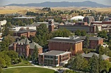 Washington State University | WSU Extension, Island County | Washington ...