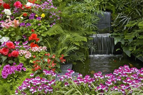 Check spelling or type a new query. How to Grow the Most Beautiful Flowers Garden