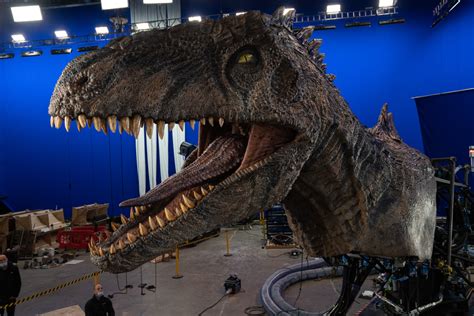 This Stunning Shot Of The Giganotosaurus In ‘jurassic World Dominion Is A Practical Head And A