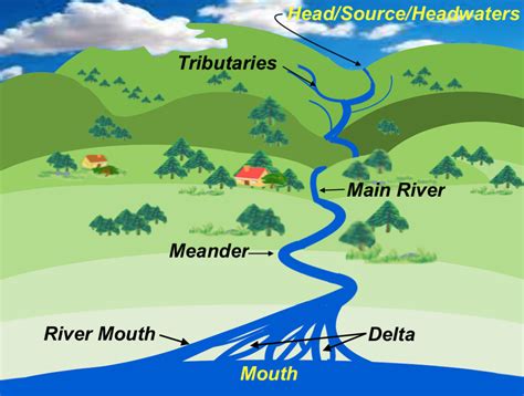Parts Of River System Diagram
