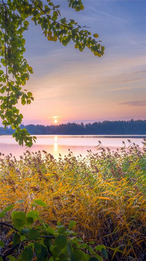 Lake On Fall Season During Sunset 4k Hd Nature Wallpapers Hd