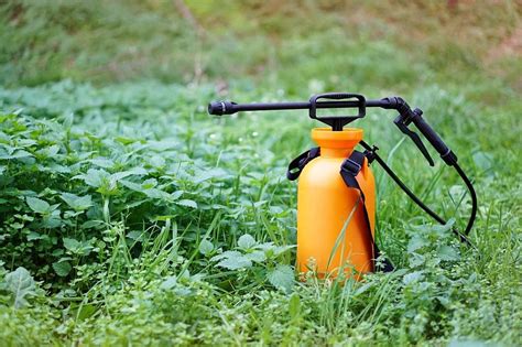 The 10 Best Garden Sprayers Of 2022 Best Garden Tips
