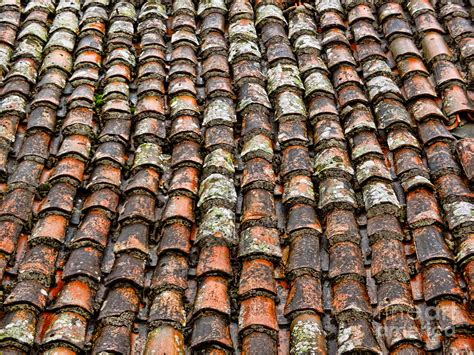 Medieval Roof Texture And Old Roof Texture