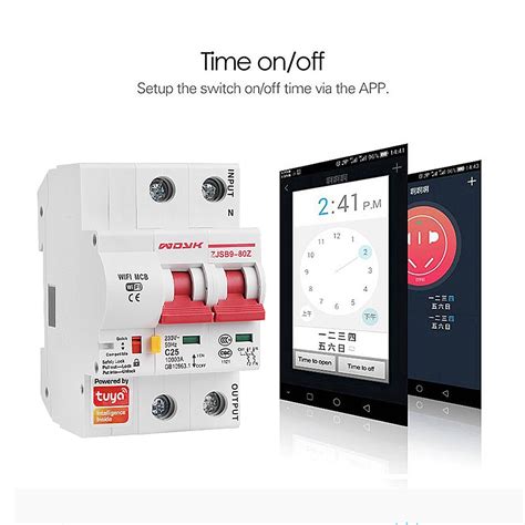 Smart Life(tuya) app 2p WiFi Smart Circuit Breaker ...