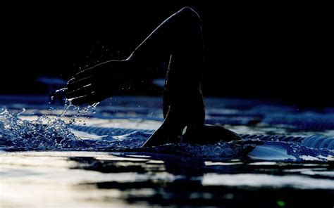 Nadador Natación Deporte Fondo De Pantalla Hd Avance