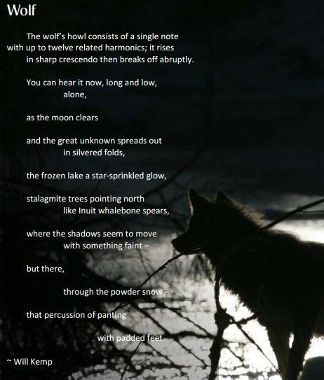 Poem Of The Wolf Spirit Wolves Fox And Coyote Pinterest Wolf Poem