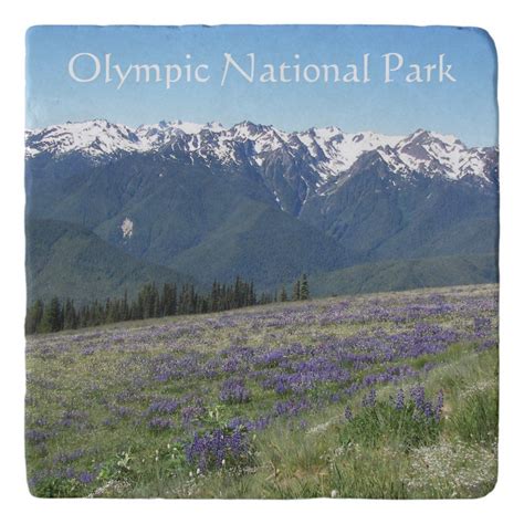 Olympic National Park Landscape Photo Trivet In 2021