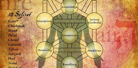 Your Soul Map The Tree Of Life According To Kabbalah Life Kabbalah