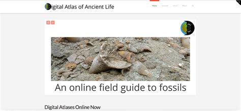 Digital Atlas Of Ancient Life Is Online Myfossil