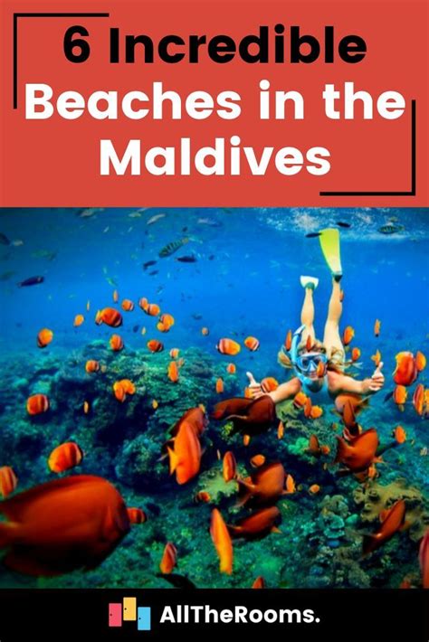 6 incredible beaches in the maldives alltherooms the vacation rental experts beaches in